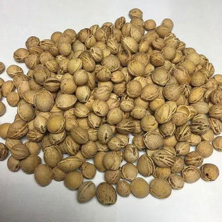 Bio Wärmekissen „Elefant“ – bio | handgefertigt | vielseitig