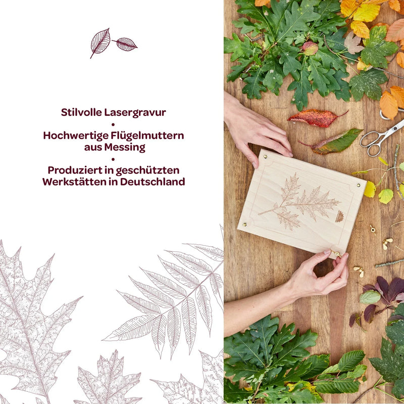 Leaf press for leaves & flowers – Beech wood 190×250 mm — Ansicht 7