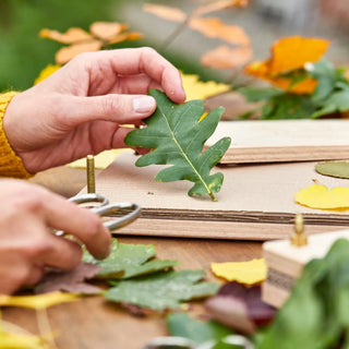 Blattpresse für Blätter & Blüten – Buchenholz | 190×250 mm | Sozial gefertigt
