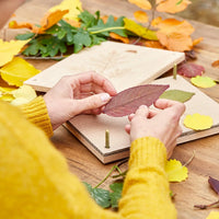 Leaf press for leaves & flowers – Beech wood 190×250 mm — Ansicht 9