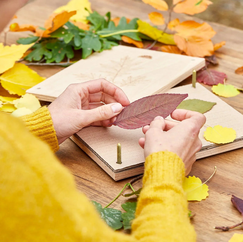 Leaf press for leaves & flowers – Beech wood 190×250 mm — Ansicht 9