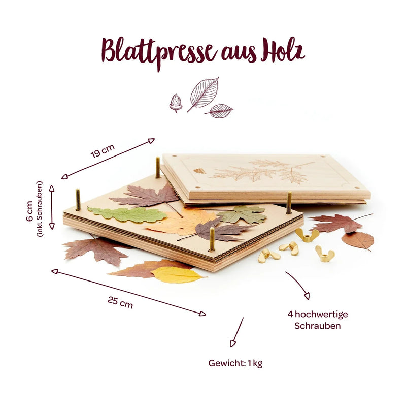 Leaf press for leaves & flowers – Beech wood 190×250 mm — Ansicht 8