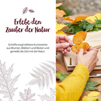 Leaf press for leaves & flowers – Beech wood 190×250 mm — Ansicht 4