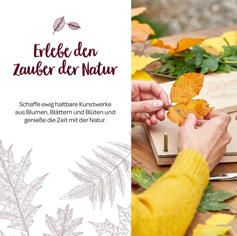 Leaf press for leaves & flowers – Beech wood 190×250 mm — Ansicht 4