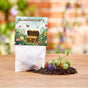 10x5 flower marbles in a bag – Floral treasure by Die Stadtgärtner