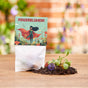 10x5 Flower Marbles in a Bag – Power Flowers by Die Stadtgärtner