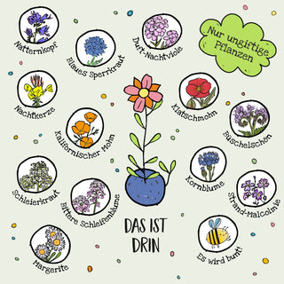 10x5 Blumenmurmeln im Tütchen – Powerblumen