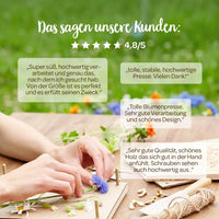Flower Press Beechwood Handmade 190×250 mm — Ansicht 11