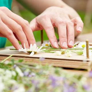 Blumenpresse – Handgefertigt | Buchenholz | Großformat 190x250mm