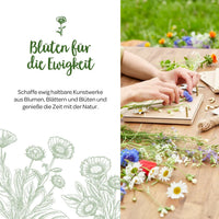 Flower Press Beechwood Handmade 190×250 mm — Ansicht 3