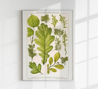 Botanische Plant Leaves Collage Fine Art Print mit organischen Blattmustern, abstrakter Komposition und taktiler Papierstruktur für naturnahe Interiors
