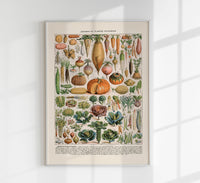 Légumes et Plantes Potagères Poster – Gemüse Botanisch Fine Art Canvas — Ansicht 1