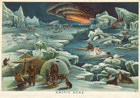 Arctic Zone Poster – Vintage Science Illustration — Ansicht 4