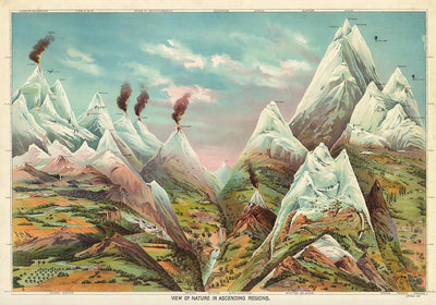 Nature in Ascending Regions Poster | Bildung trifft Vintage-Ästhetik | Handgefertigt in Berlin