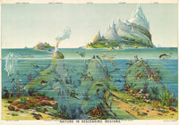 Nature in descending Regions Educational Vintage Chart – Kunstdruck Berlin — Ansicht 4