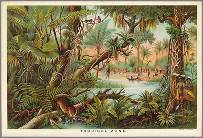 Tropical Zone Educational Vintage Poster | Handgefertigt in Berlin | Patroa Studio