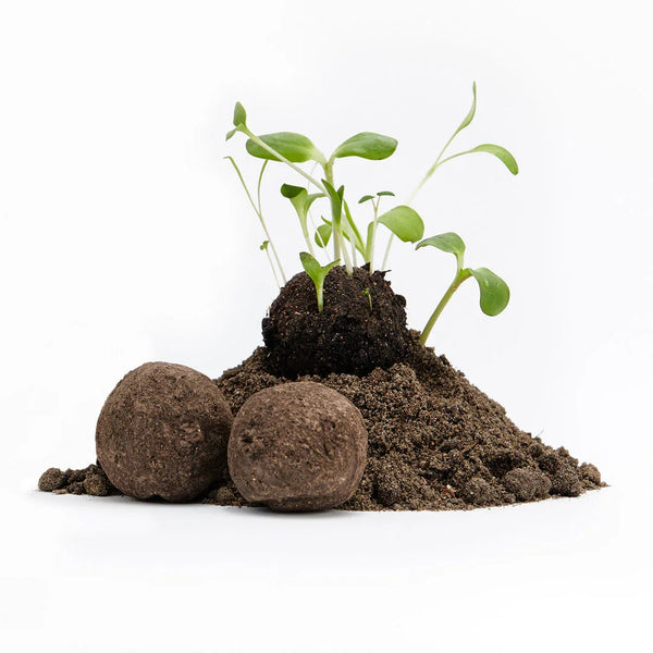 Loose Wildflower Seed Bombs unpackaged – DIY packaging 2–3 cm Ø