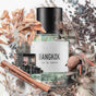 sober BANGKOK Eau de Parfum – Unisex Duftwasser 50 ml
