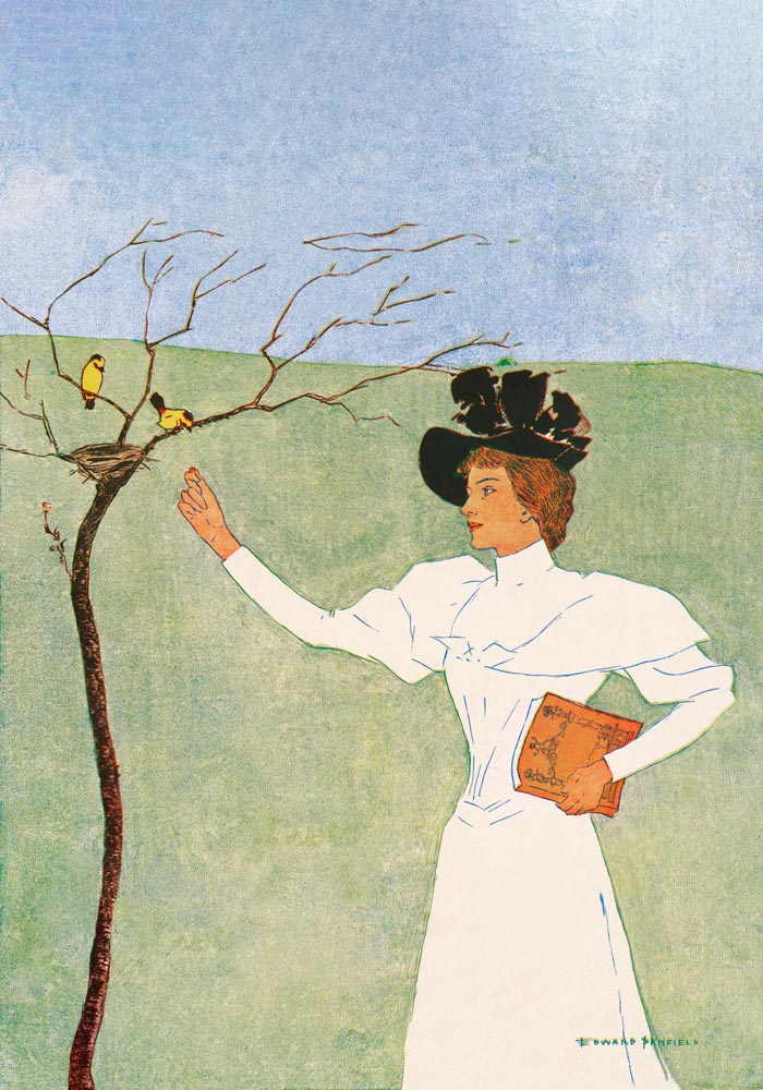 Woman reaching for birds – Edward Penfield Vintage Poster — Ansicht 3