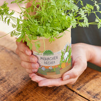 Carrots from a Cup – Organic Seed Growing Kit for Children — Ansicht 1