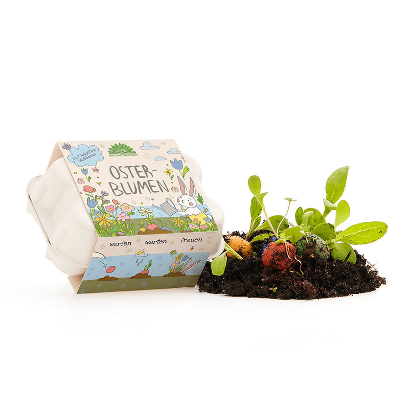 6 colorful Easter flowers - flower marbles in an egg carton — Ansicht 2