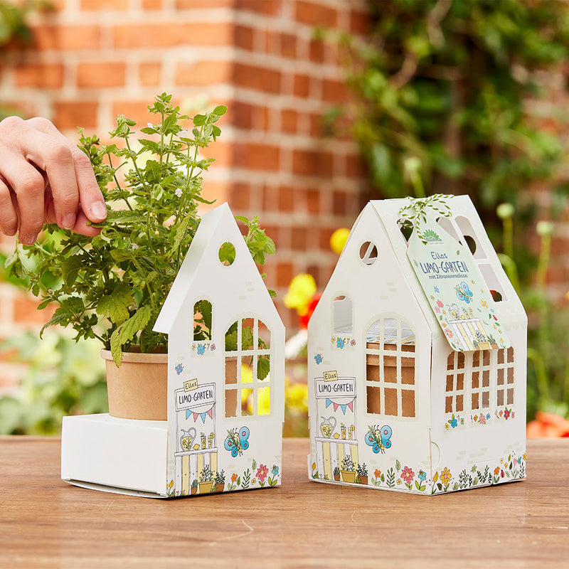 "Ella's Lemon Garden" Greenhouse - Organic Lemon Balm Growing Kit — Die Stadtgärtner