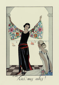 Voici Mes Ailes! Vintage Poster – Art Déco Illustration — Ansicht 1
