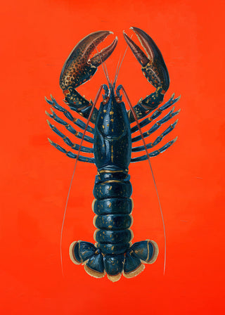 Lobster in Red Art Print – Lebendig | Premiumdruck | Meereskunst