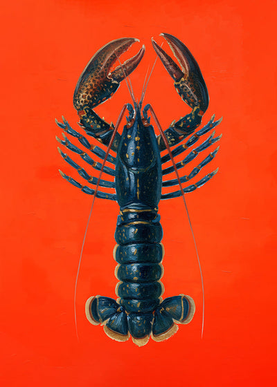 Lobster in Red Art Print – Premium Sea Art Print