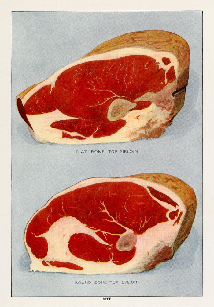 Beef Flat Bone Vintage Poster – Kunstdruck von Patroa Studio — Ansicht 4
