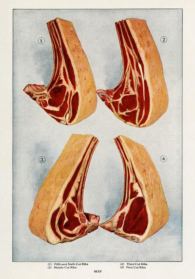 Beef 4 Pieces II Meat – Art Print Berlin
