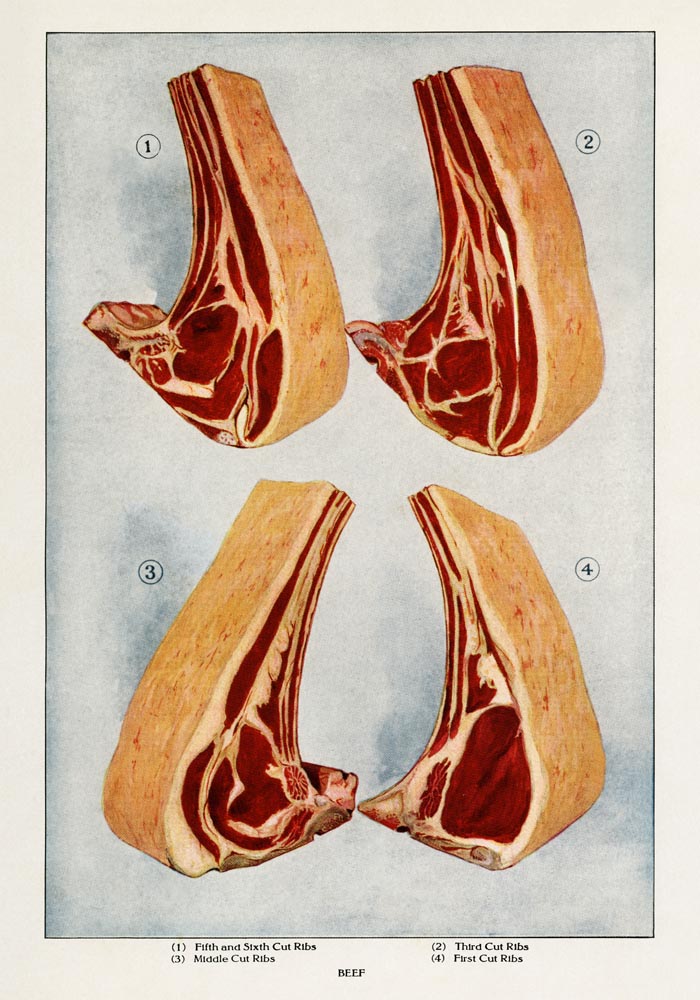 Beef 4 Pieces II Meat – Art Print Berlin — Ansicht 4