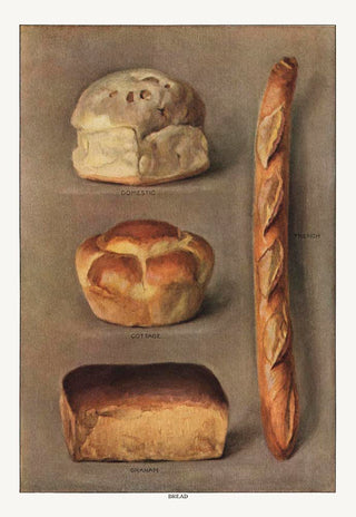 Bread Varieties I Vintage Poster