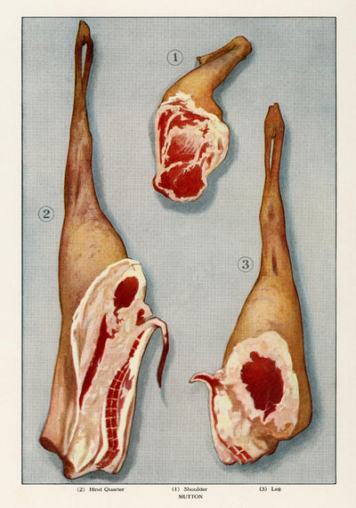 Lamb 3 Pieces Meat Poster – Hand Printed Berlin