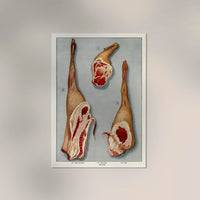 Lamb 3 Pieces Meat Poster – Hand Printed Berlin — Ansicht 3