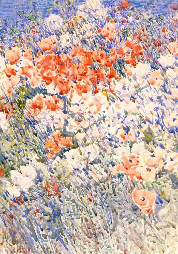 The Island Garden by Frederick Childe Hassam – Kunstdruck Poster — Ansicht 4
