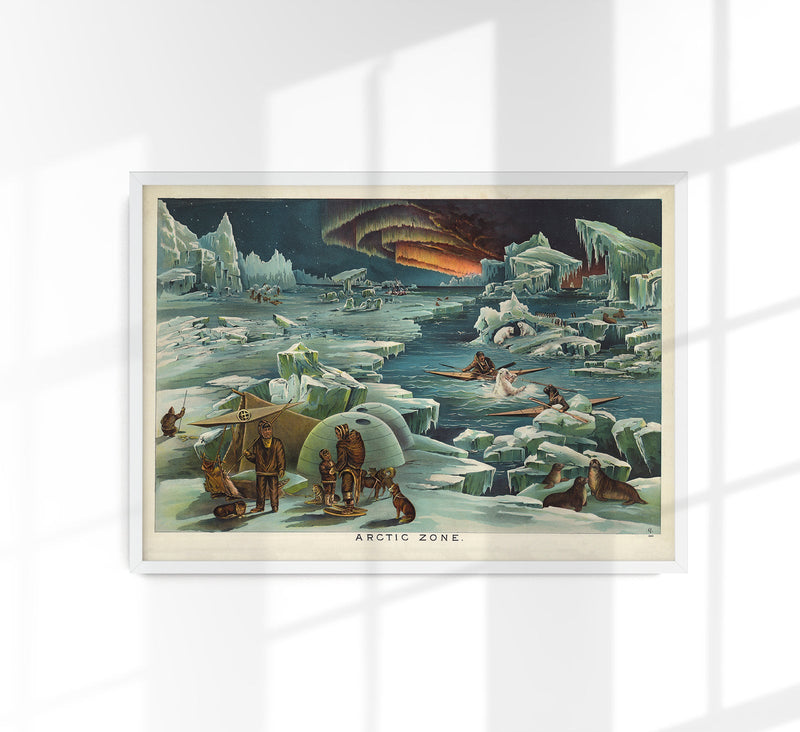 Arctic Zone Poster – Vintage Science Illustration — Patroa Studio