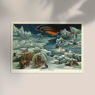 Arctic Zone Poster - Vintage Science Illustration