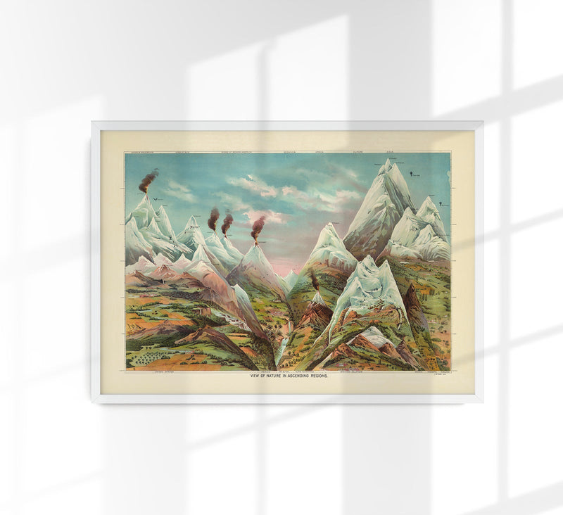 Nature in Ascending Regions Poster | Bildung trifft Vintage-Ästhetik | Handgefertigt in Berlin — Patroa Studio