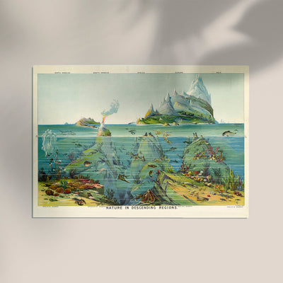 Nature in descending Regions Educational Vintage Chart – Kunstdruck Berlin