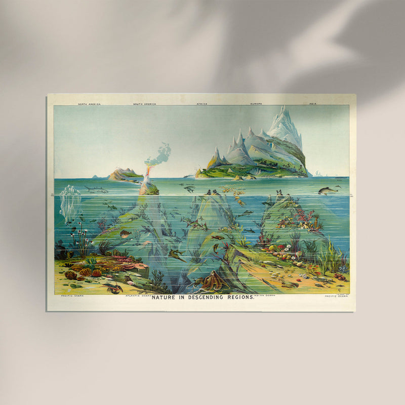 Nature in descending Regions Educational Vintage Chart – Kunstdruck Berlin — Ansicht 3