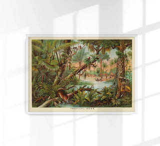Tropical Zone Educational Vintage Poster | Historisch & dekorativ | Handgefertigt in Berlin
