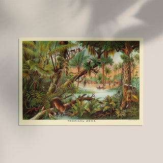 Tropical Zone Educational Vintage Poster | Historisch & dekorativ | Handgefertigt in Berlin