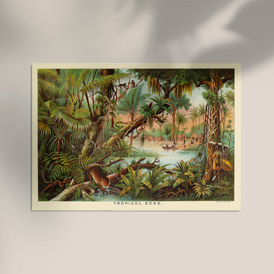 Tropical Zone Educational Vintage Poster | Handgefertigt in Berlin | Patroa Studio