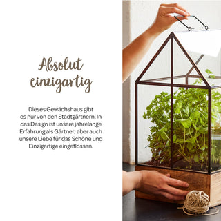 Hochwertiges Anzucht- und Gewächshaus