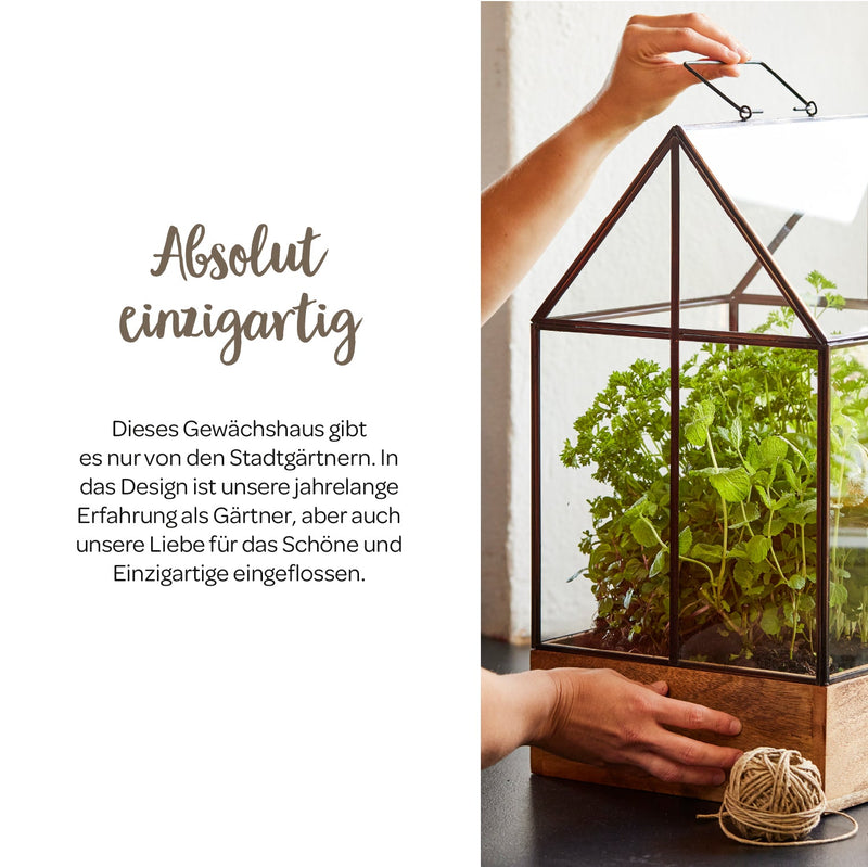 Hochwertiges Anzucht- und Gewächshaus aus recyceltem Holz – handgefertigt — Ansicht 3
