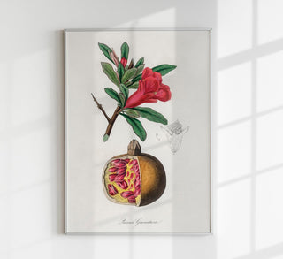 Granatapfel Kitchen Fine Art Print mit realistischen Fruchthälften, intensiven Rotnuancen und robustem Canvas für appetitanregende Küchenambiances
