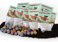 10x5 Flower Marbles in a Bag – Power Flowers by Die Stadtgärtner — Ansicht 7