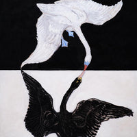 The Swan No. 1 by Hilma af Klint – Fine Art Print | UV-Resistant Canvas — Ansicht 3