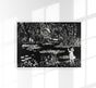 Lily Pond Drawing by Henry Lyman – Kunstdruck Poster